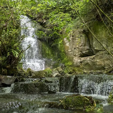 Tatil Evi Corner Leyburn